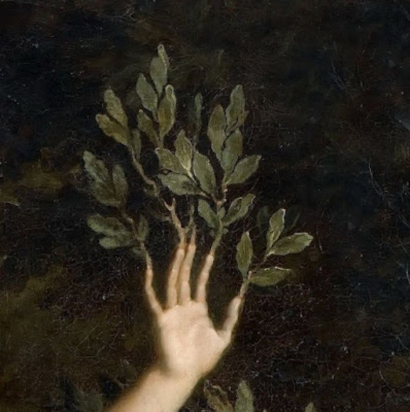 Meet your Posher, Meredith - Picture 1 of 1